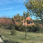 Vakantiehuis In Vineyard Dörgicse
