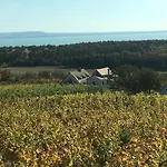 In Vineyard Vakantiehuis