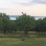 Vakantiehuis In Vineyard *