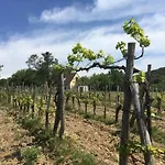 In Vineyard Vakantiehuis Dörgicse