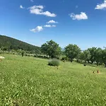بيت للعطل In Vineyard *