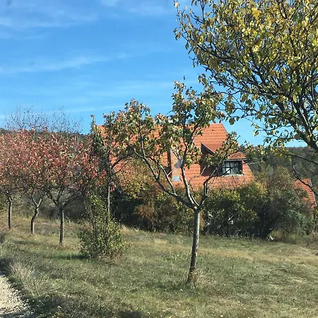 בית נופש In Vineyard Dörgicse