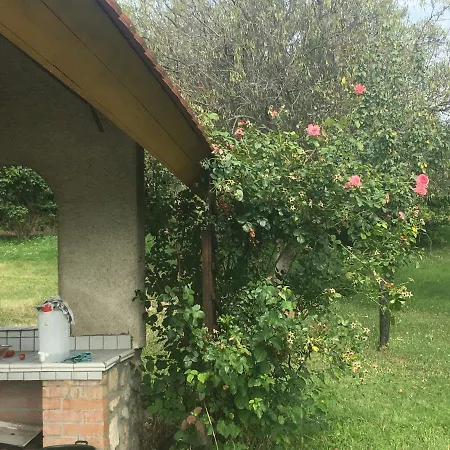 In Vineyard Dörgicse