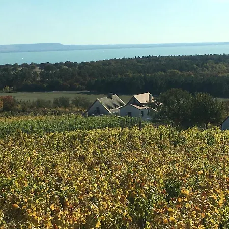 In Vineyard בית נופש