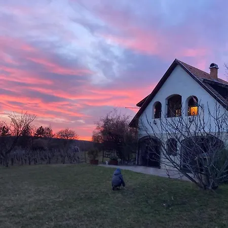 In Vineyard 度假居 Dörgicse