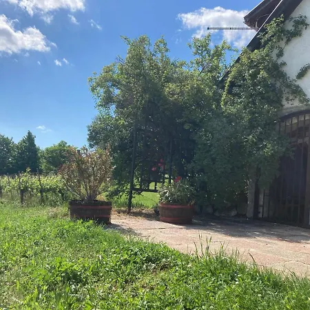 In Vineyard * Dorgicse