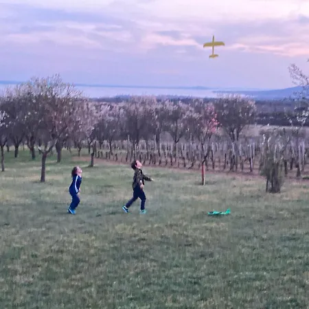 度假居 In Vineyard