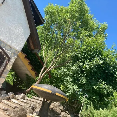 度假居 In Vineyard *