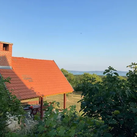 In Vineyard 度假居