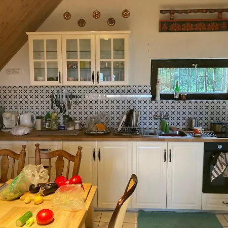 Сasa de vacaciones In Vineyard Dörgicse