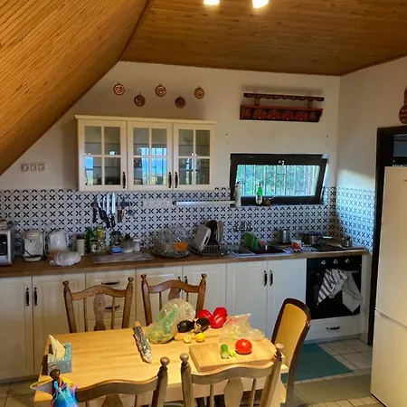 In Vineyard Сasa de vacaciones Dörgicse