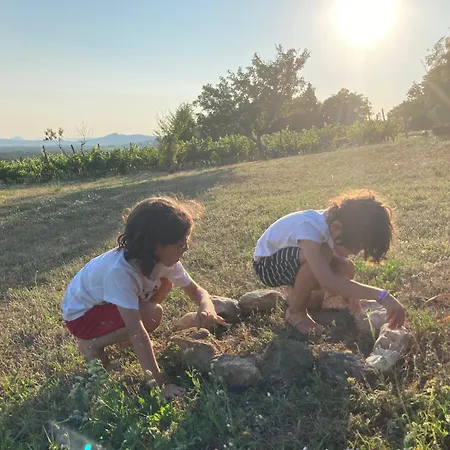 In Vineyard Dörgicse