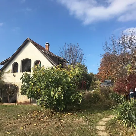 Vakantiehuis In Vineyard Dörgicse