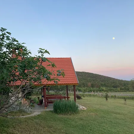 In Vineyard Vakantiehuis