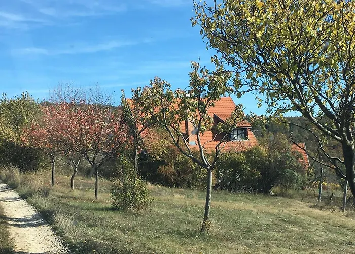 بيت للعطل In Vineyard Dörgicse