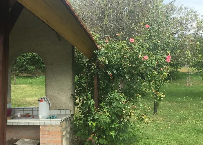 In Vineyard Dörgicse