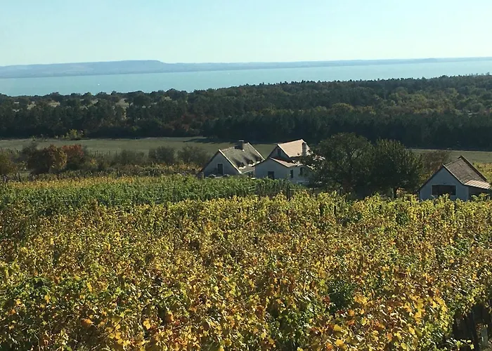 In Vineyard بيت للعطل