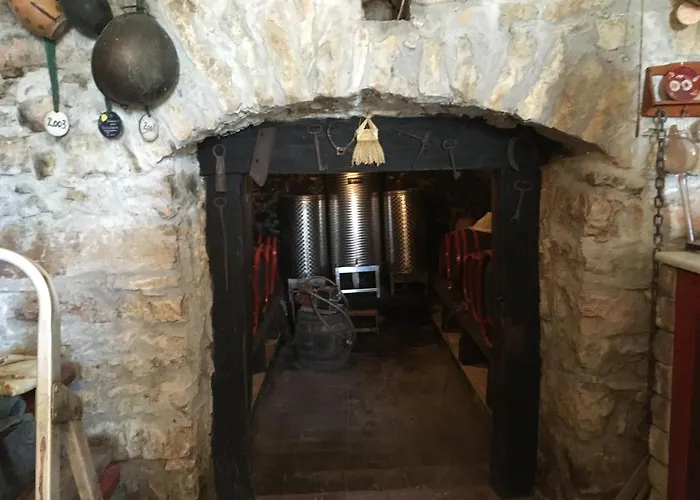 بيت للعطل In Vineyard *