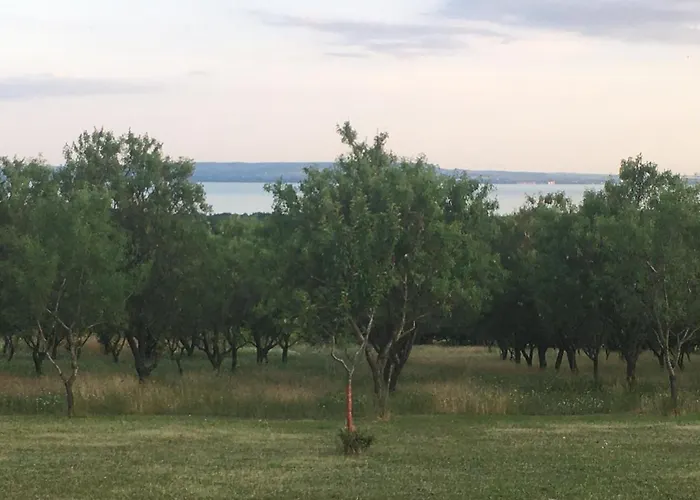 Prázdninový dům In Vineyard *