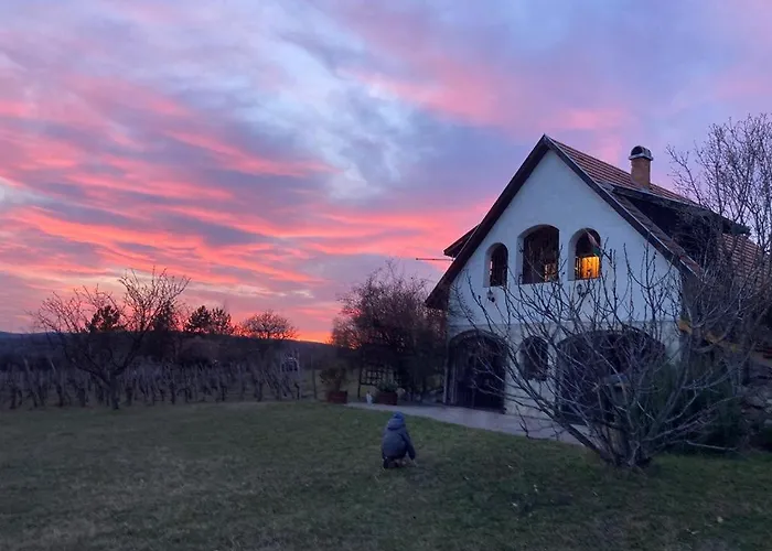 In Vineyard بيت للعطل Dörgicse