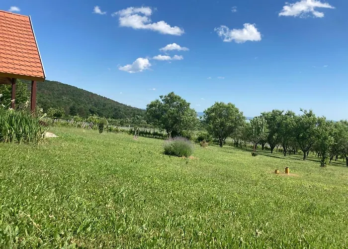 بيت للعطل In Vineyard *