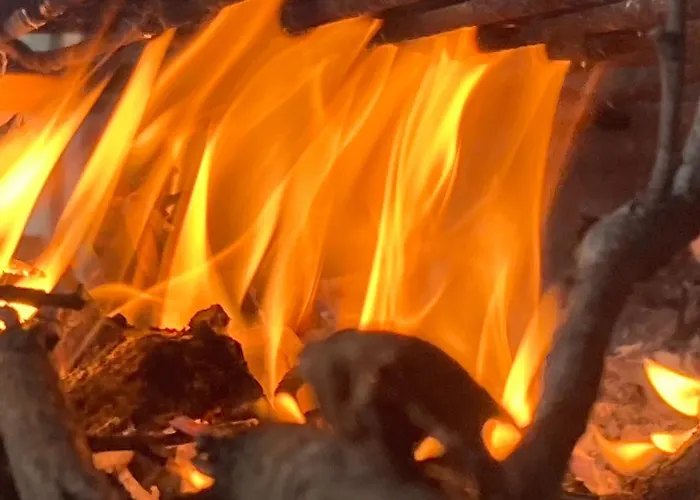 In Vineyard בית נופש *