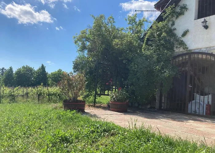 In Vineyard * Dorgicse