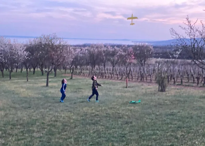 בית נופש In Vineyard