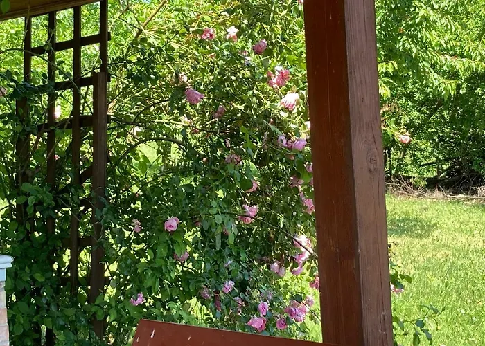 In Vineyard * Dörgicse