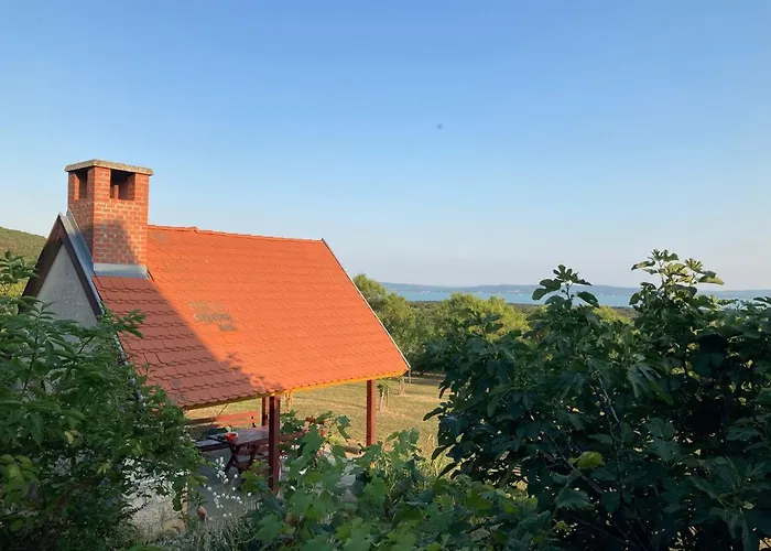 In Vineyard בית נופש