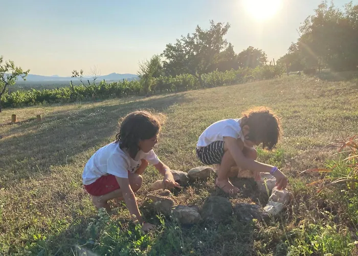 In Vineyard Dörgicse