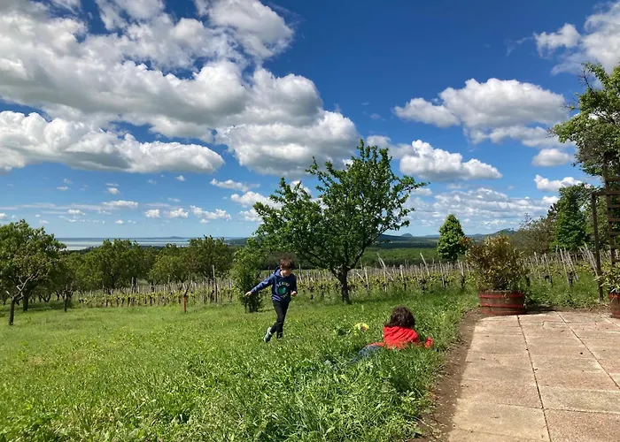 In Vineyard * Dörgicse