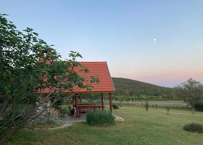 In Vineyard בית נופש